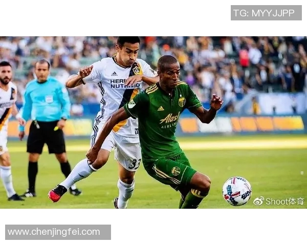 华盛顿与波特兰比赛前瞻及胜负预测分析详解